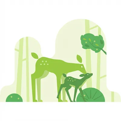 A deer helping a fawn in a forest